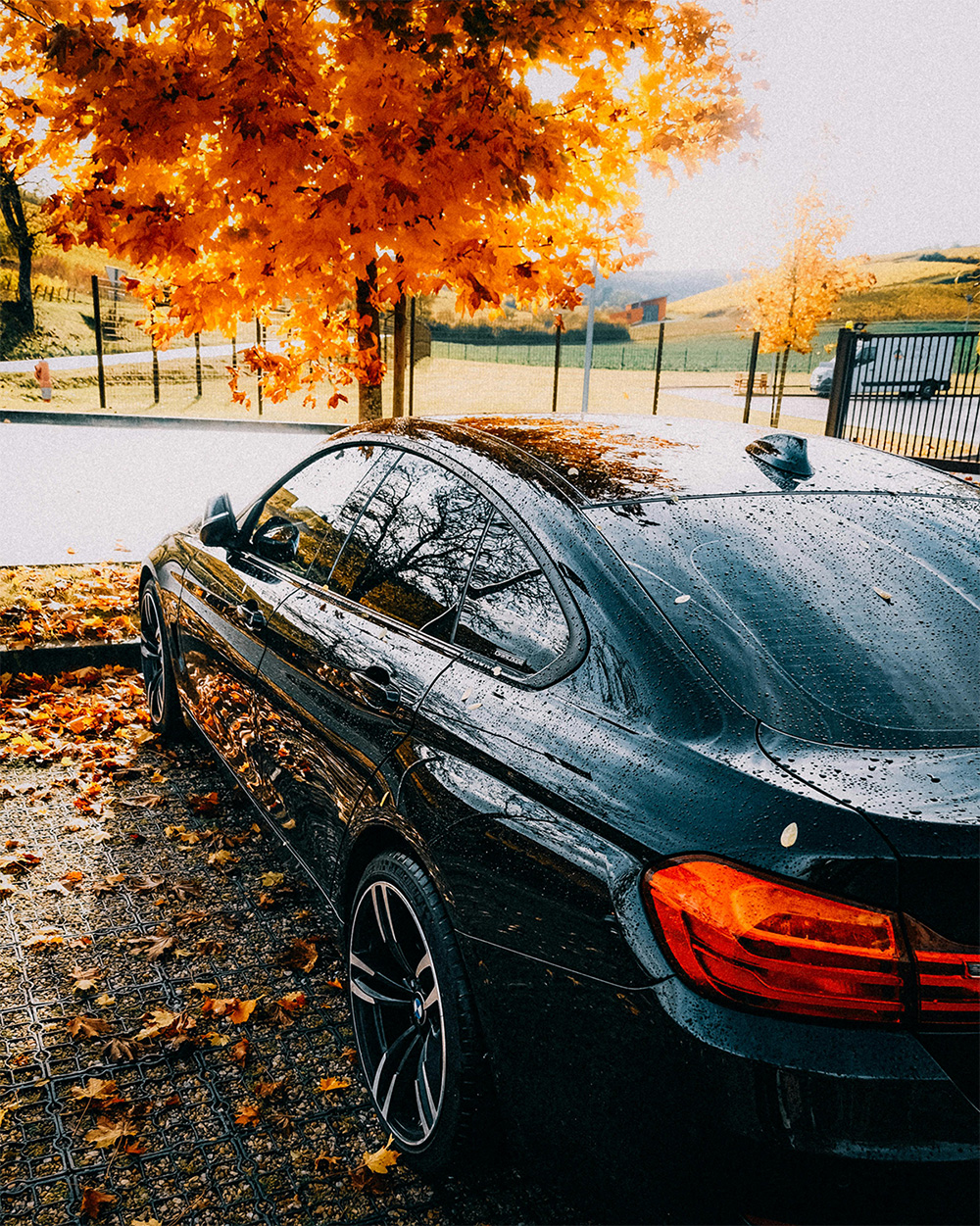 Black car parked under an orange fall tree.